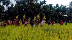 Potensi BUMG yang bergerak dibidang pertanian dam pemberdayaan