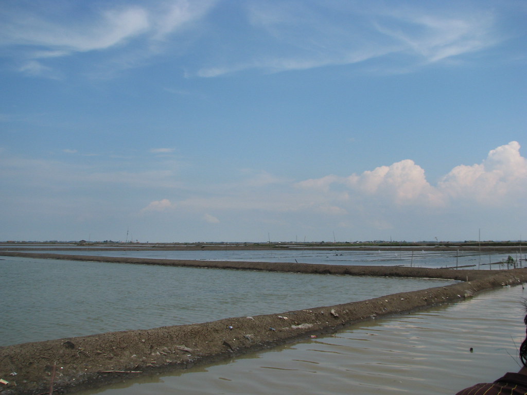 Potensi perikanan (tambak)